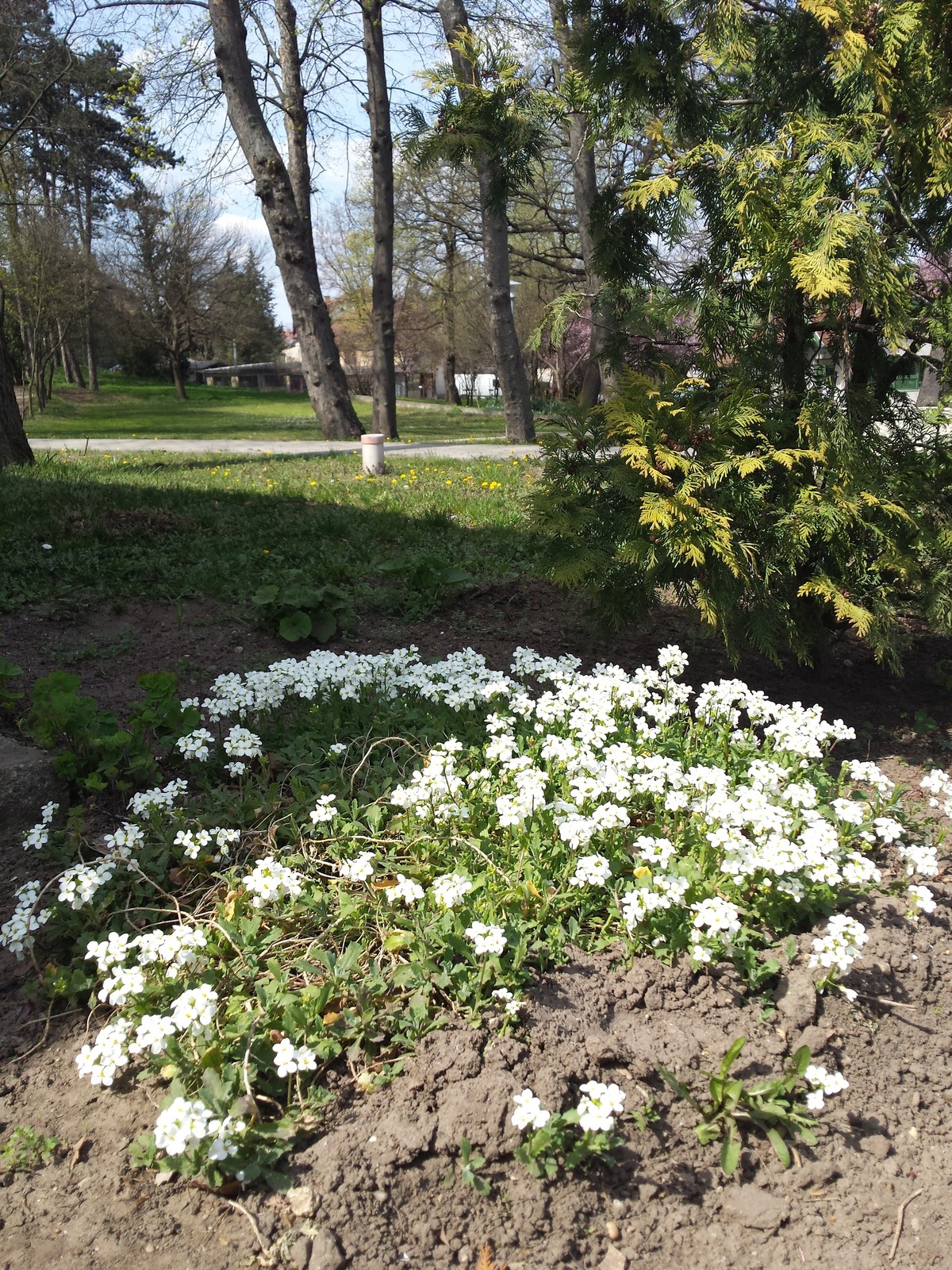2015 Tavaszi dolgozói kertészkedés
