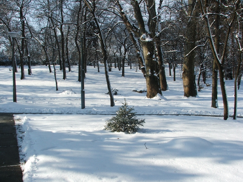 Képek - december