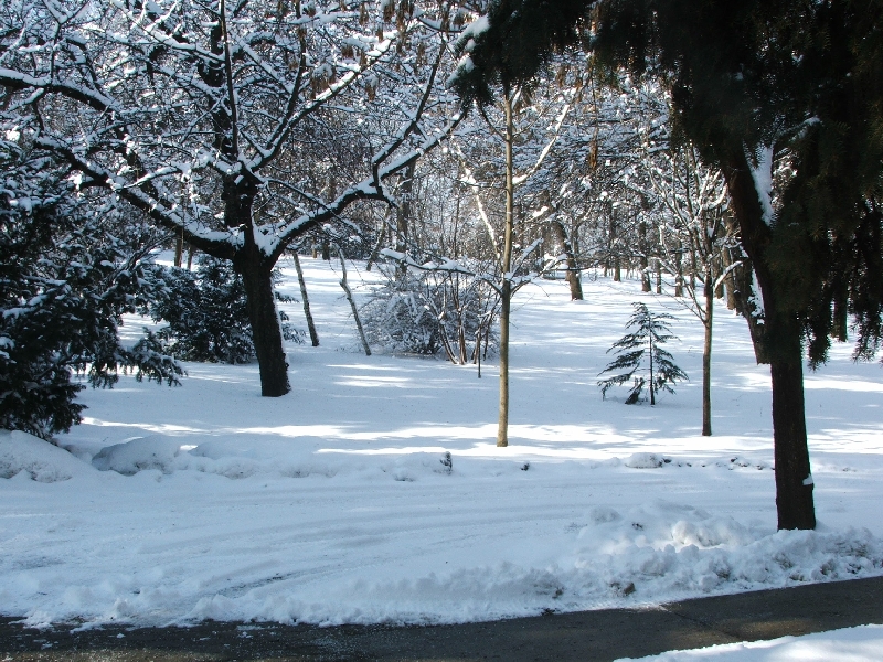 Képek - december