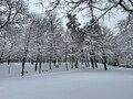 Hófehérbe burkolózva – JSZTIO
